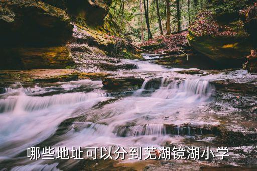 哪些地址可以分到芜湖镜湖小学