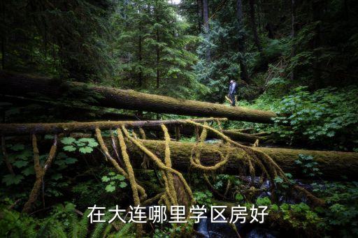 在大连哪里学区房好
