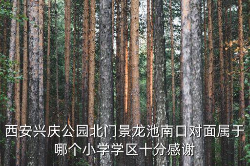 西安兴庆公园北门景龙池南口对面属于哪个小学学区十分感谢