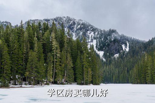 学区房买哪儿好