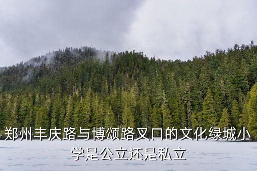 商水绿城学区房是哪个学校，郑州丰庆路与博颂路叉口的文化绿城小学是公立还是私立