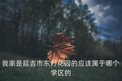 我家是延吉市东方花园的应该属于哪个学区的