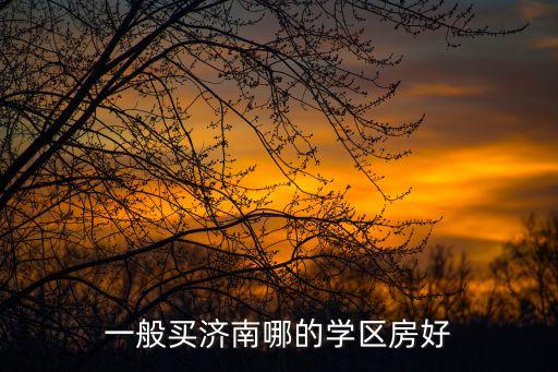一般买济南哪的学区房好
