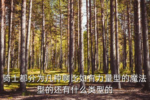 骑士都分为几种啊比如有力量型的魔法型的还有什么类型的
