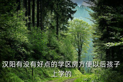 武汉民族中学学区房有哪些，汉阳有没有好点的学区房方便以后孩子上学的