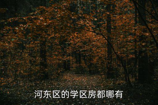 河东区的学区房都哪有