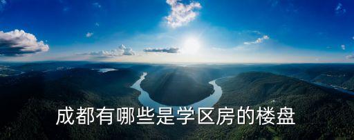 成都有哪些是学区房的楼盘