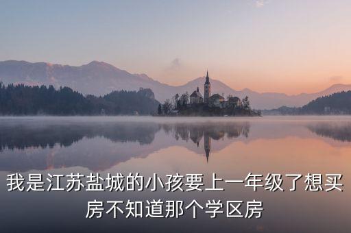 盐城南边学区房哪个好，盐城南一小和盐中双学区房位置最好的是那边多少钱一平方什