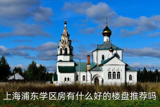 前滩学区房有哪些，上海浦东学区房有什么好的楼盘推荐吗