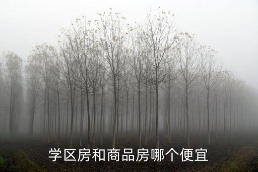 学区房和商品房哪个便宜