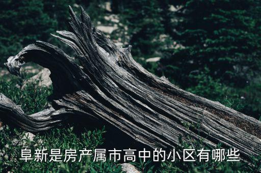 阜新哪个楼盘是学区房，阜新灯泡厂单行线附近楼 是哪个学区的