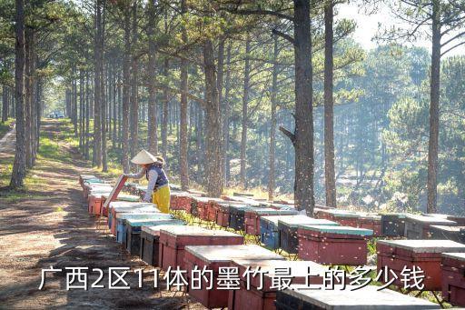 广西2区11体的墨竹最上的多少钱