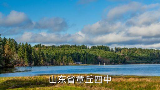 山东省章丘四中