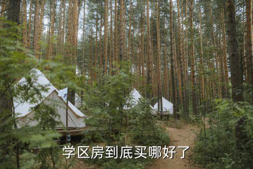 学区房到底买哪好了