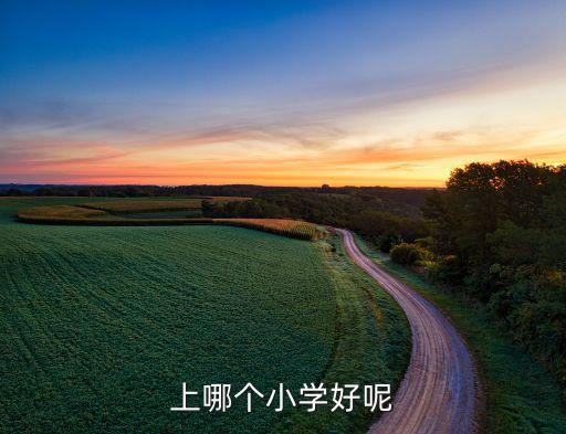上哪个小学好呢