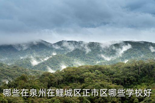 哪些在泉州在鲤城区正市区哪些学校好