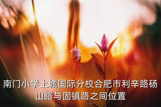 南门小学上城国际分校合肥市利辛路砀山路与固镇路之间位置