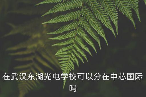 在武汉东湖光电学校可以分在中芯国际吗