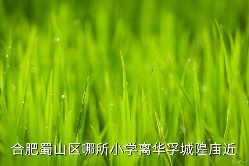 合肥蜀山区哪所小学离华孚城隍庙近