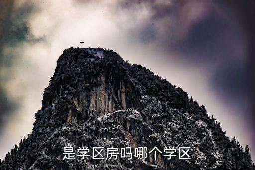 是学区房吗哪个学区
