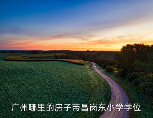 广州哪里的房子带昌岗东小学学位