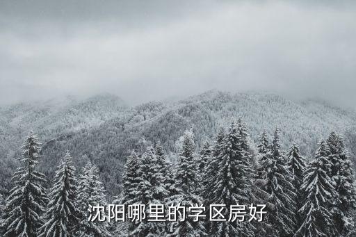 沈阳哪里的学区房好