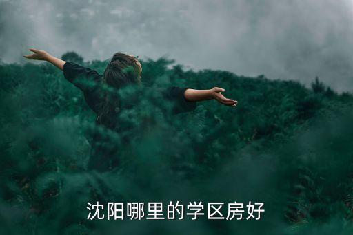 沈阳哪里的学区房好