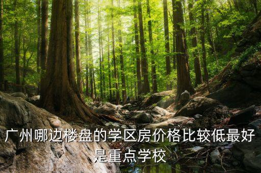 广州哪边楼盘的学区房价格比较低最好是重点学校
