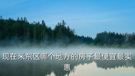 现在米东区哪个地方的房子最便宜最实惠