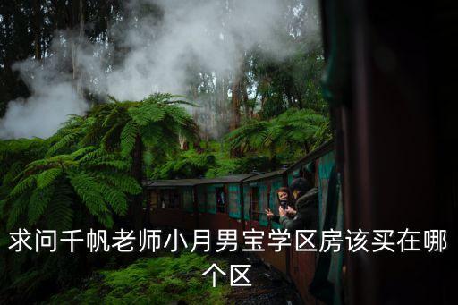 求问千帆老师小月男宝学区房该买在哪个区