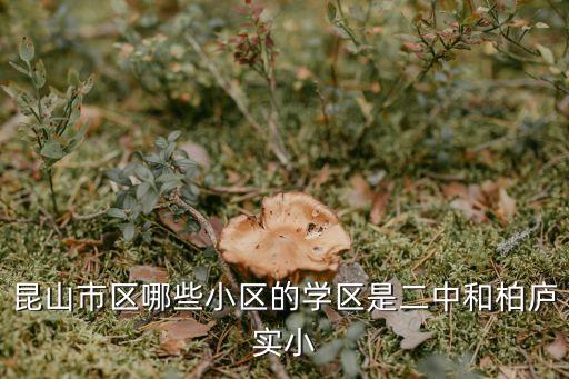 昆山市区哪些小区的学区是二中和柏庐实小