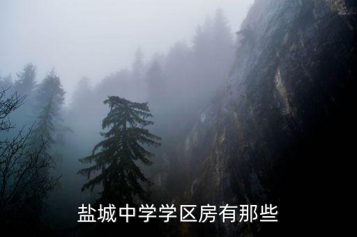 盐城中学学区房有那些