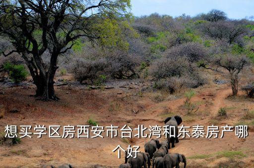 想买学区房西安市台北湾和东泰房产哪个好