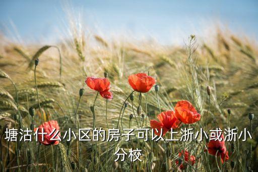 塘沽什么小区的房子可以上浙小或浙小分校