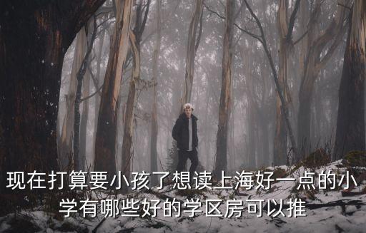 现在打算要小孩了想读上海好一点的小学有哪些好的学区房可以推