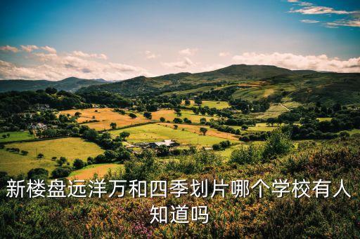新楼盘远洋万和四季划片哪个学校有人知道吗