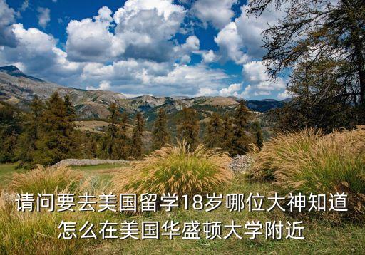 美国哪个学区房好租些啊，请问要去美国留学18岁哪位大神知道怎么在美国华盛顿大学附近