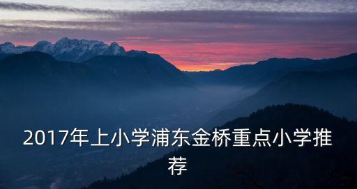 2017年上小学浦东金桥重点小学推荐