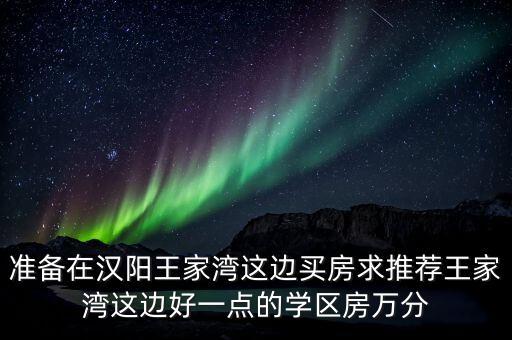准备在汉阳王家湾这边买房求推荐王家湾这边好一点的学区房万分
