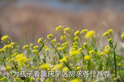 为孩子看重庆学区房求各位推荐