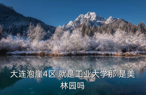 大连泡崖4区 就是工业大学那 是美林园吗