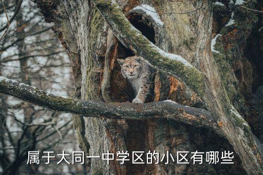 属于大同一中学区的小区有哪些