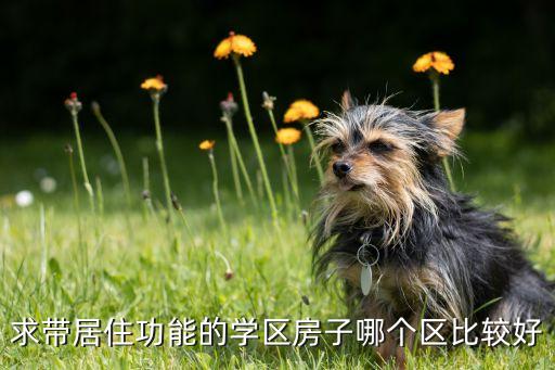 宁波中河学区房选哪个小区，求带居住功能的学区房子哪个区比较好