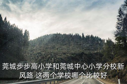 莞城步步高小学和莞城中心小学分校新风路 这两个学校哪个比较好