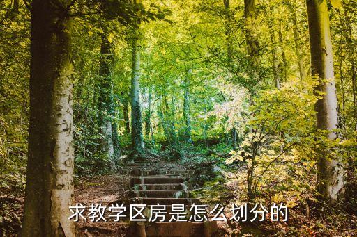 求教学区房是怎么划分的
