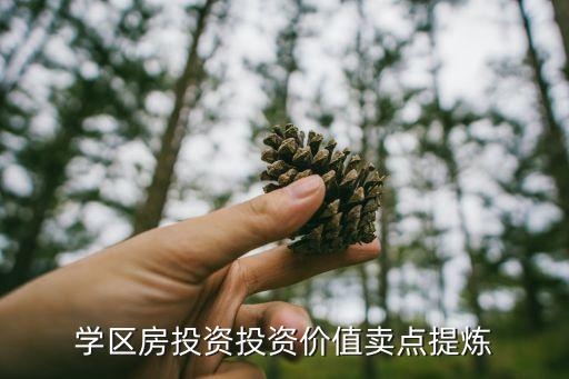 学区房投资投资价值卖点提炼