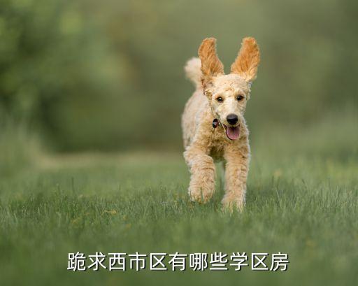 跪求西市区有哪些学区房