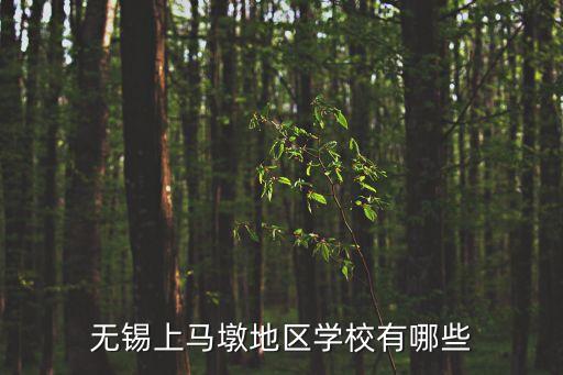 无锡上马墩地区学校有哪些