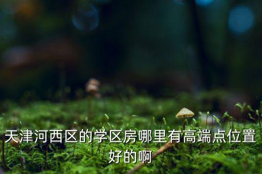 天津河西区的学区房哪里有高端点位置好的啊