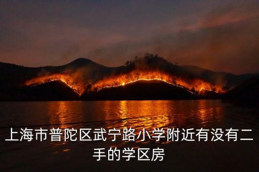 上海市普陀区武宁路小学附近有没有二手的学区房